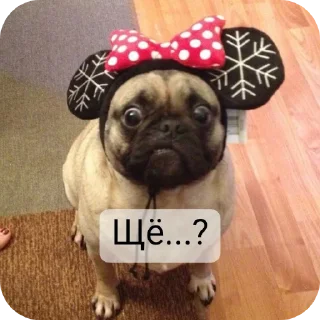 🫢 emoji @Lolabomre1111111 Telegram sticker 5 of 22