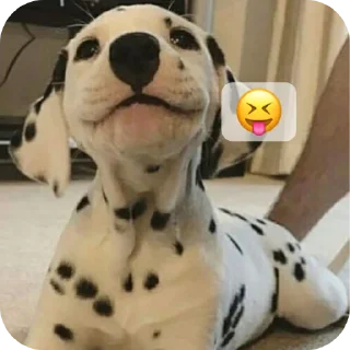 😝 emoji @Lolabomre1111111 Telegram sticker 15 of 22