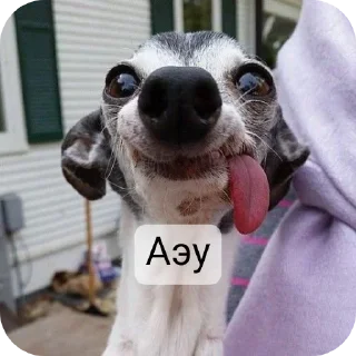 🤓 emoji @Lolabomre1111111 Telegram sticker 8 of 22