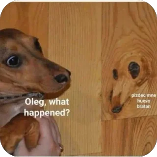 чем гуще лес.. sticker 2