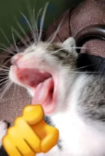 😏 emoji Таверна pisyapopakaka Telegram sticker 23 of 112
