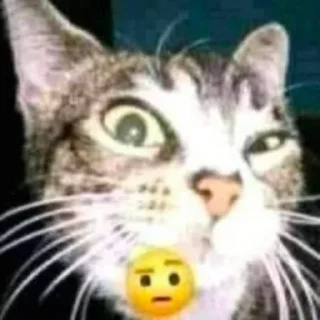 😔 emoji Таверна pisyapopakaka Telegram sticker 20 of 112