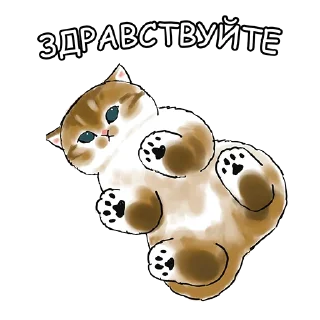 👋 emoji Котики mofu_sand Telegram sticker 11 of 33