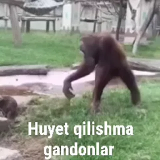 Sticker from @Urahara_bro @TgEmojiBot