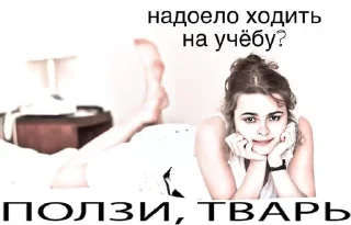 Sticker from школа школа тупая хуета