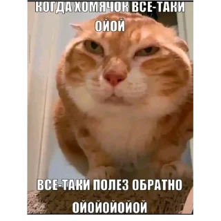 Sticker from DIY с уретрой