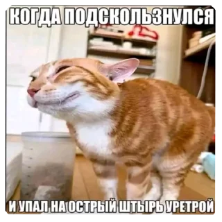 Sticker from DIY с уретрой