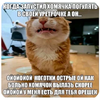 Sticker from DIY с уретрой