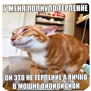 Sticker from DIY с уретрой
