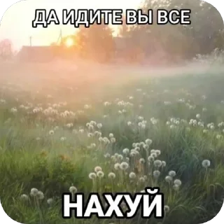 Sticker from грибнойприкоп