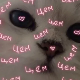 ❤️ emoji 💗 подпишись: @hornystickers1 Telegram sticker 9 of 114