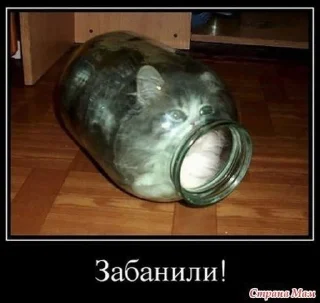 😡 emoji Саня Хуй соси Telegram sticker 23 of 57