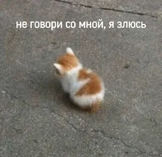 Sticker from китис
