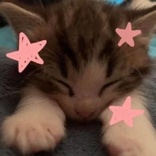 🌟 emoji Me0w_01 Telegram sticker 8 of 89