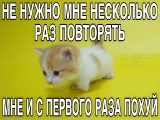 Sticker from kittyyyy