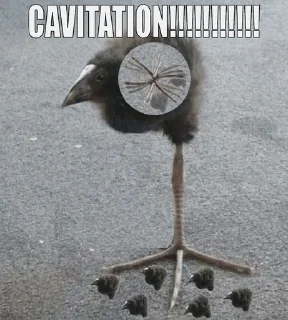 Sticker from 🥝 На все случаи жизни