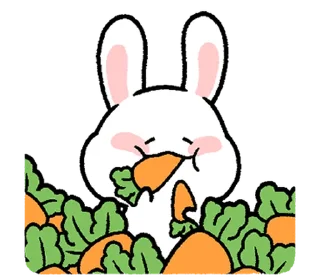 ⭐ emoji ミヨンミヨン バニー 2 @moe_sticker_bot Telegram sticker 11 of 24