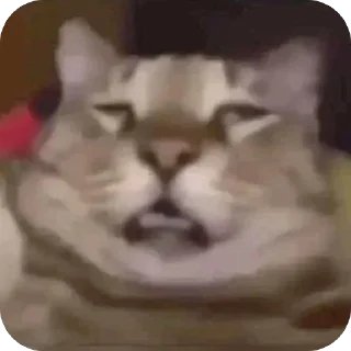 😖 emoji @STICKRULE <- БОЛЬШЕ Telegram sticker 23 of 60