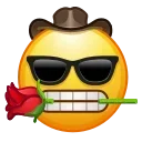 😎 emoji Crazy Emoji 1 @xkysluv Telegram sticker 15 of 120