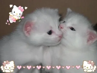 🌟 emoji †•°••к♡миий0∆∅ @z3lyon1nyash4kripeR Telegram sticker 7 of 87