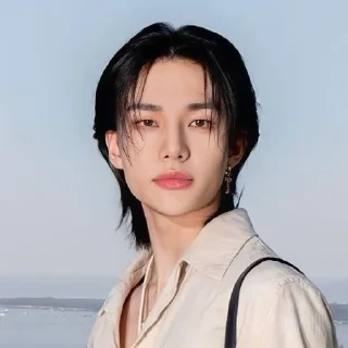 🌟 emoji Hyunjin @idol_wallpaper_krisqz Telegram sticker 23 of 26
