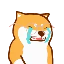 Sticker from shiba jd