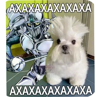 🐶 emoji Оадаодв ЖЖБА Telegram sticker 20 of 120