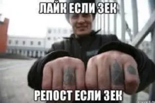 Sticker from Жопа