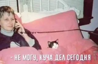 Sticker from Жопа