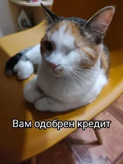 Sticker from Китолицизм