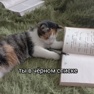 Sticker from Китолицизм