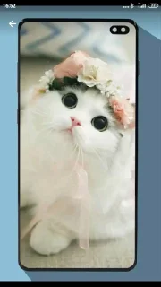 😃 emoji Мой стикерпак @moyi_stikery_bot Telegram sticker 17 of 111