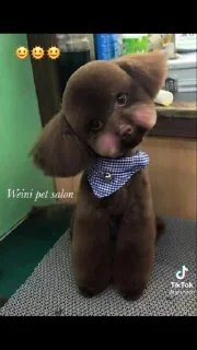 😃 emoji Мой стикерпак @moyi_stikery_bot Telegram sticker 6 of 111