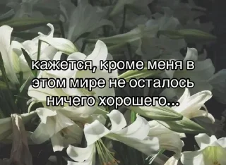 Sticker from Лол кек