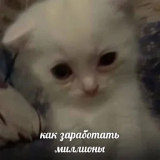 🌟 emoji китики Telegram sticker 21 of 25