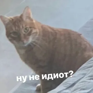 Sticker from Тигра