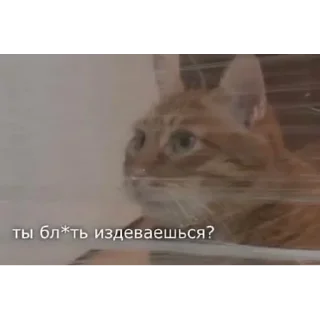 Sticker from Тигра