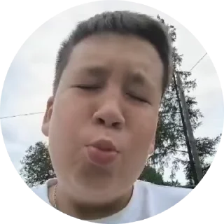 🐷 emoji СВО май 2024 Telegram sticker 21 of 120