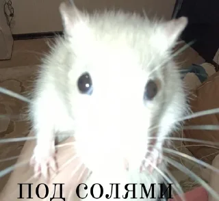 Sticker from Михалыч и его друзья
