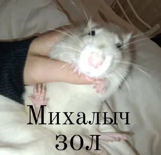 Sticker from Михалыч и его друзья