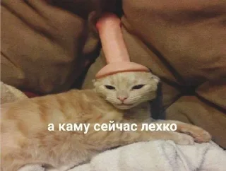 😔 emoji Михалыч и его друзья Telegram sticker 8 of 19