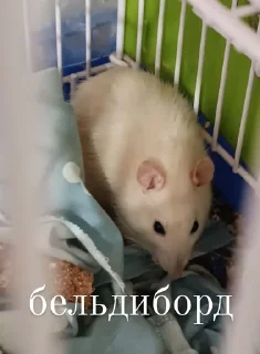 😊 emoji Михалыч и его друзья Telegram sticker 6 of 19