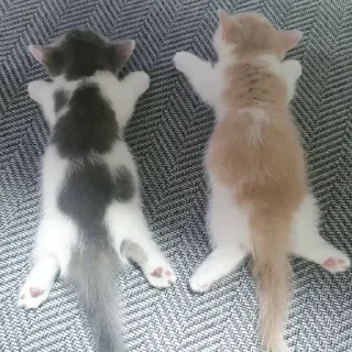 😍 emoji Михалыч и его друзья Telegram sticker 14 of 19