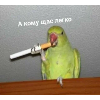 Sticker from Сосиска в тесте by @sticat_app