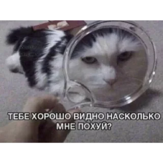 😂 emoji Сосиска в тесте by @sticat_app Telegram sticker 13 of 73