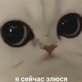 😂 emoji Сосиска в тесте by @sticat_app Telegram sticker 17 of 73