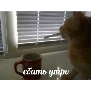 😂 emoji Сосиска в тесте by @sticat_app Telegram sticker 18 of 73