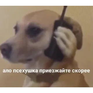 😂 emoji Сосиска в тесте by @sticat_app Telegram sticker 5 of 73