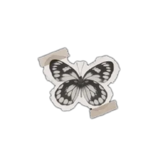 Sticker from Slow Damage