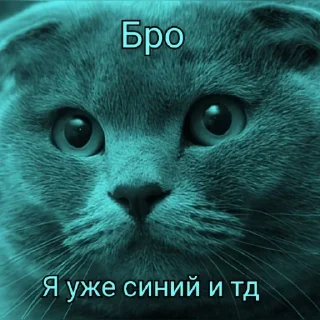 Sticker from @FULLSITION <- БОЛЬШЕ